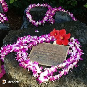 Meet your Posher, Melodie